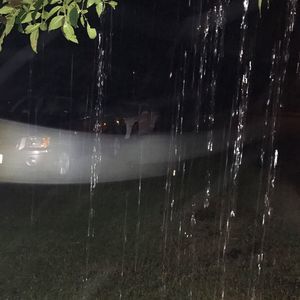 Meet your Posher, Dolores